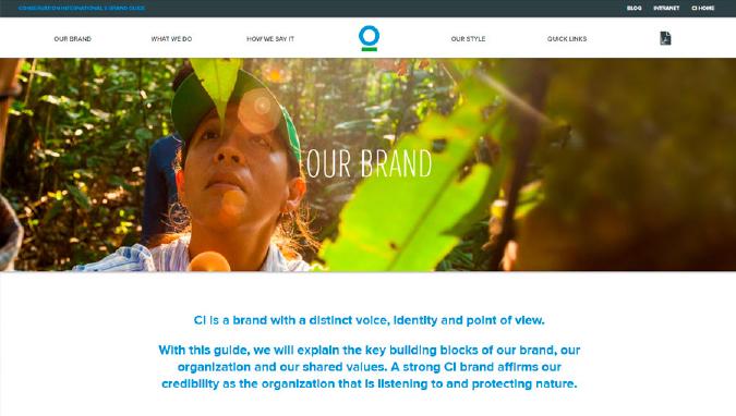 CI Brand Guide
